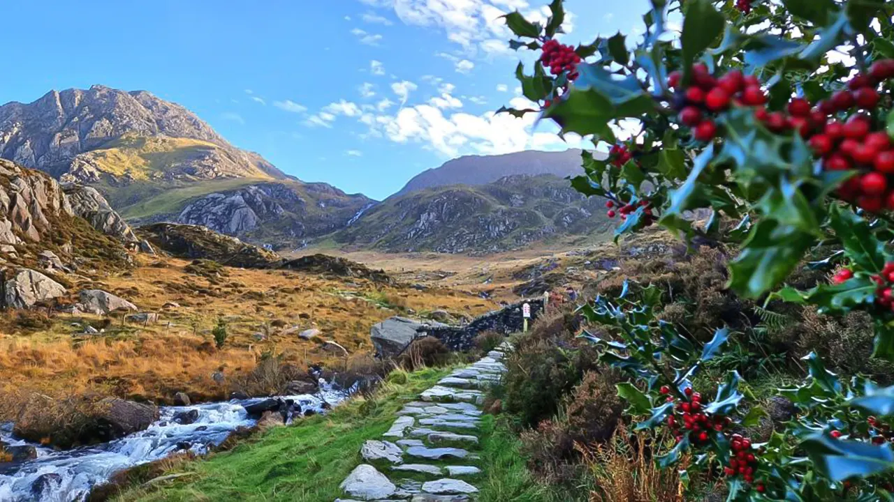 Snowdonia and Chester tour